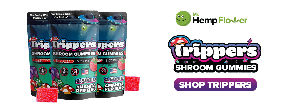 Buy Amanita Mushroom Gummies Delaware