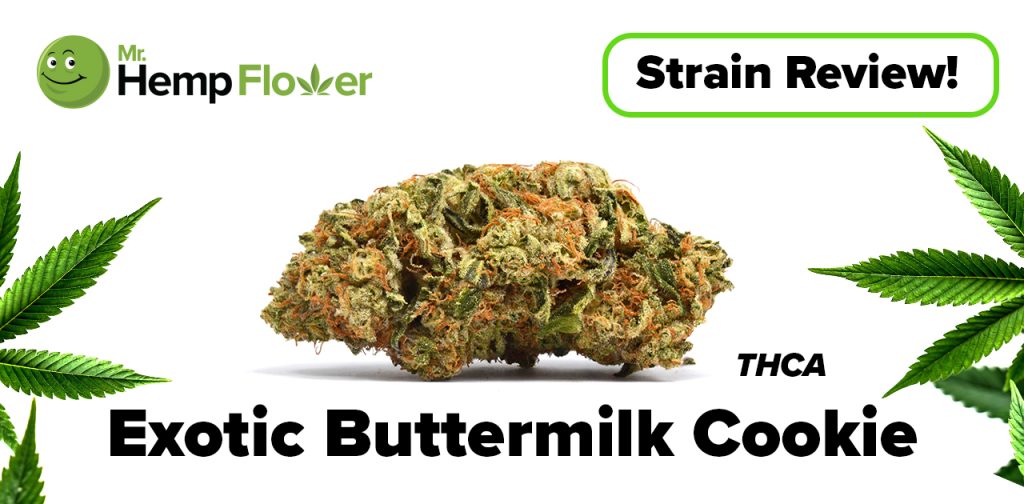 Exotic Buttermilk Cookie THCA Strain Review