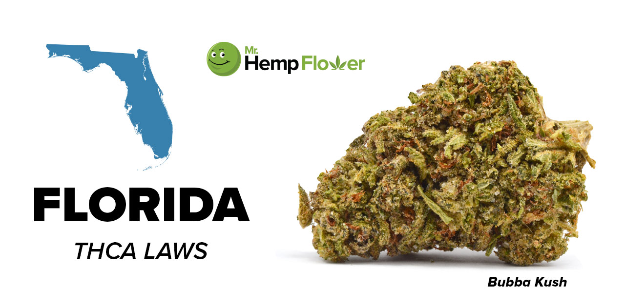 THCA Flower in Florida: Is It Legal Hemp &amp; Where to Buy