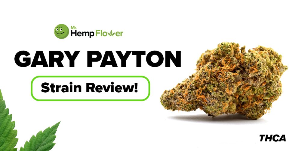 Gary Payton THCA Flower Strain Review