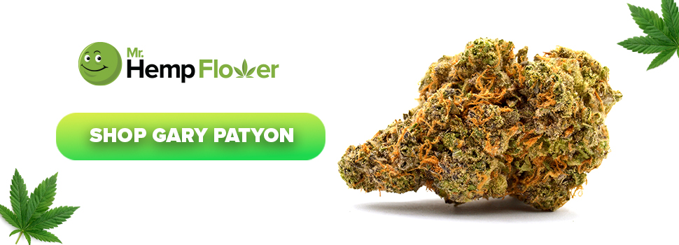 Buy Gary Payton THCA Flower Strain 