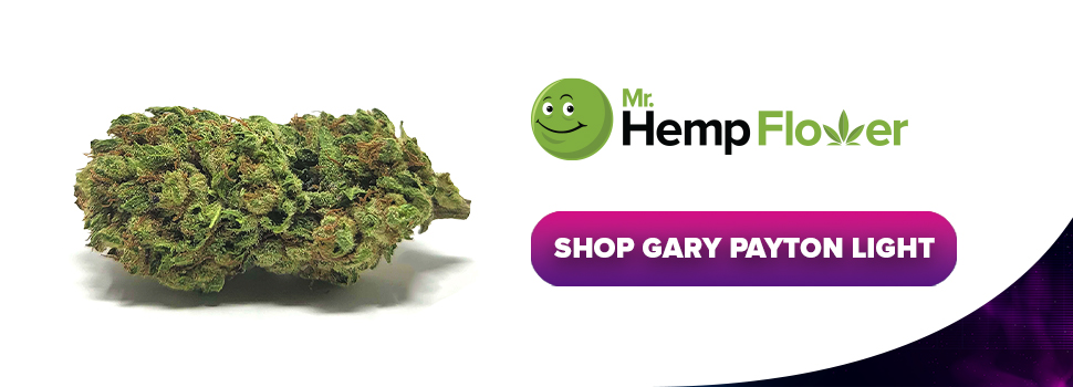 Buy Gary Payton Lite THCA Flower Strain