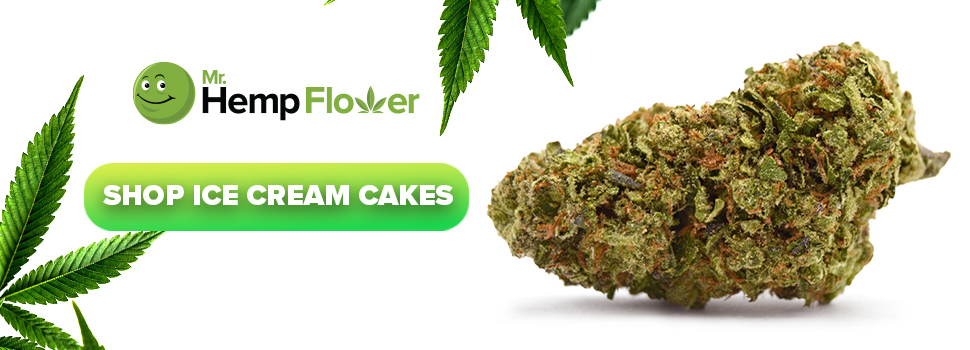 Buy Ice Cream Cake Strain