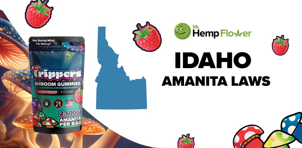 Is Amanita Mushroom Legal in Idaho
