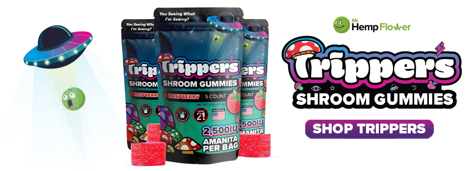 Buy Amanita Mushroom Gummies Idaho