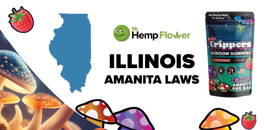 Is Amanita Mushroom Legal in Illinois