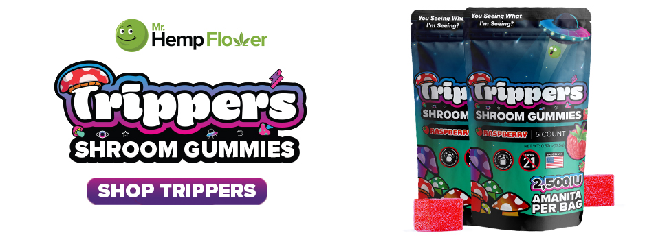 Buy Amanita Mushroom Gummies Illinois