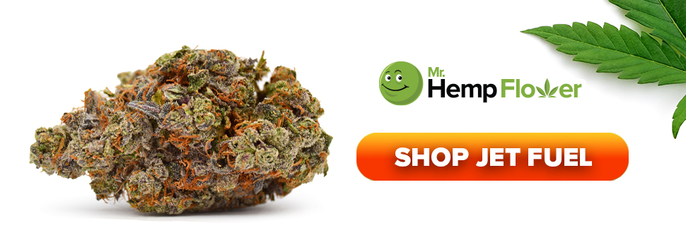 Buy Jet Fuel THCA flower strain