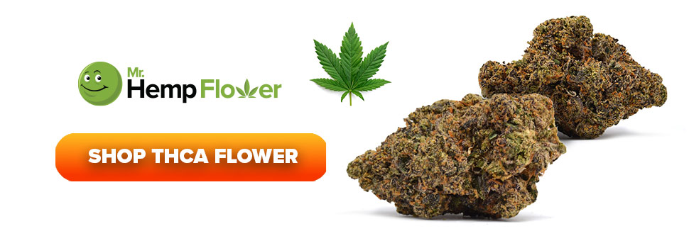 Buy THCA Flower in North Carolina