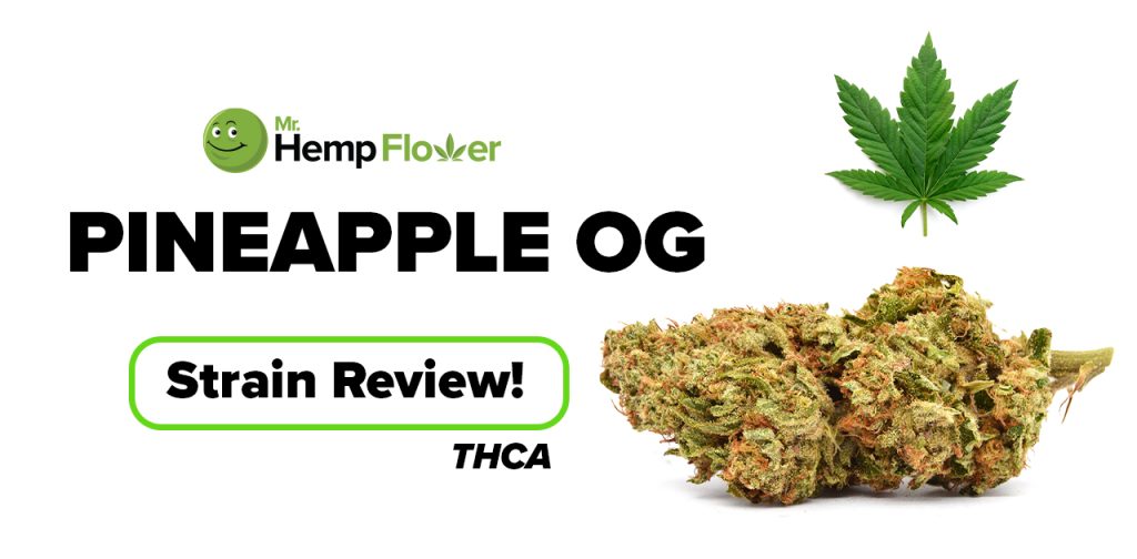 Pineapple OG THCA Flower Strain Review