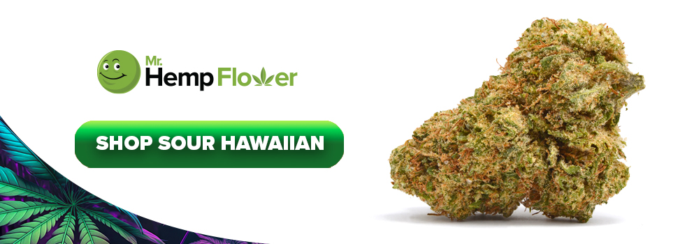 Buy THCA Diamond Infused CBD Flower Sour Hawaiian