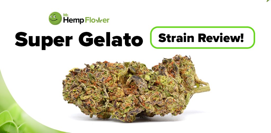 Super Gelato THCA Hemp Flower Review