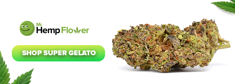 Buy Super Gelato THCA Hemp Flower