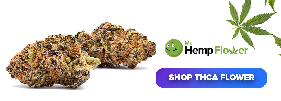 Buy THCA Flower in Colorado