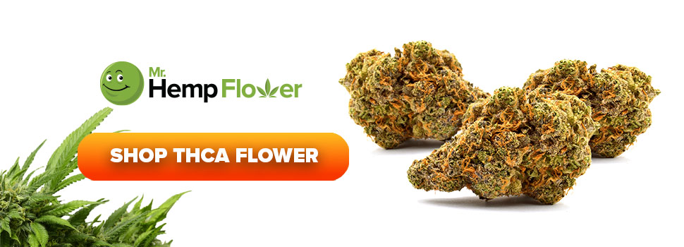 Buy THCA Flower in Georgia