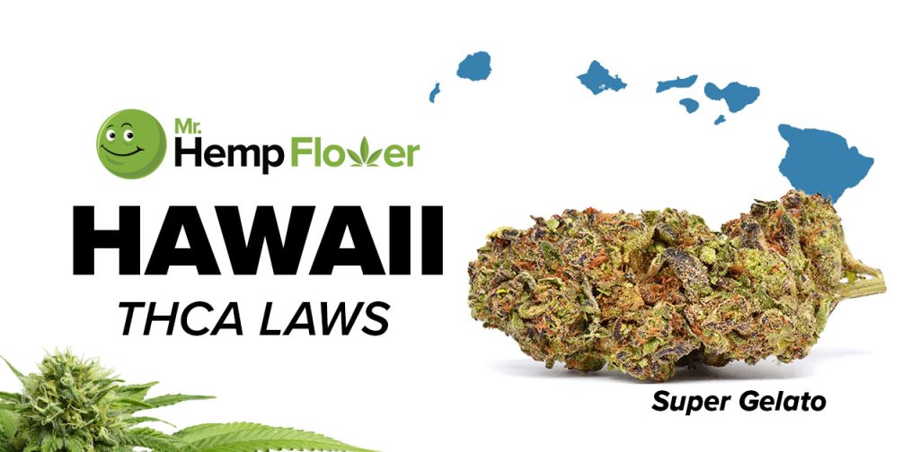 Can Thca Flower Really Be Legal Hemp?