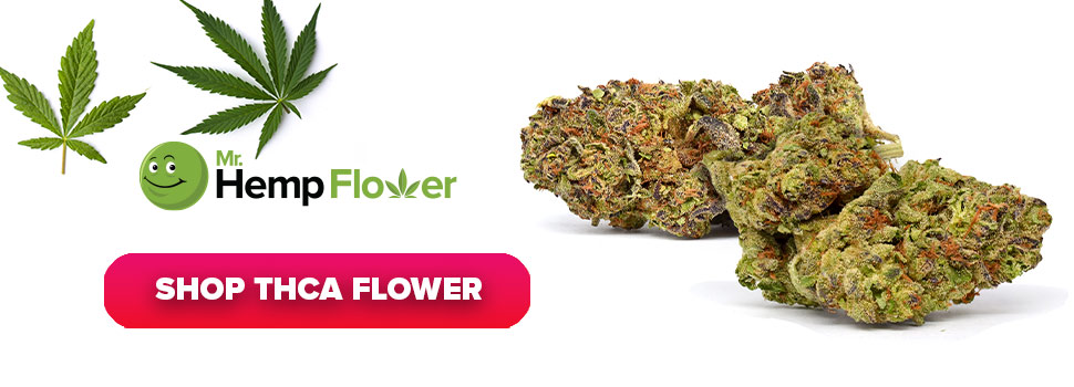 Buy THCA Flower in Hawaii