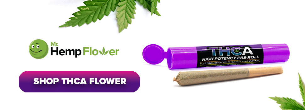 Buy THCA Flower in Iowa