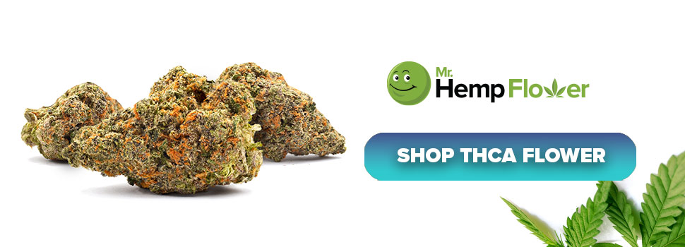 Buy THCA Flower in Minnesota