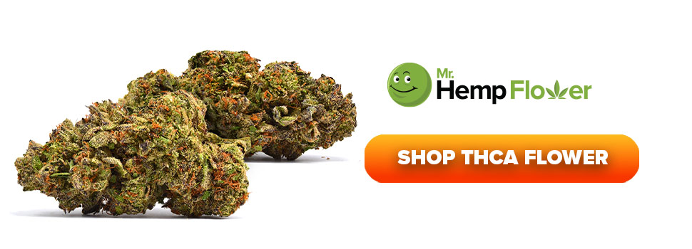 Buy THCA Flower in Mississippi