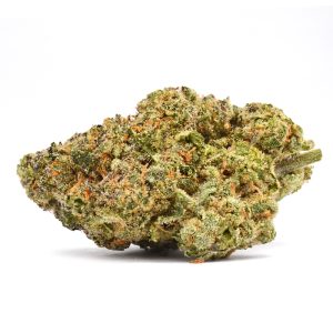 Apricot Mimosa Strain