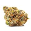 GG4 nug