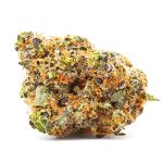 GG4 nug