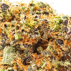 GG4 Up close