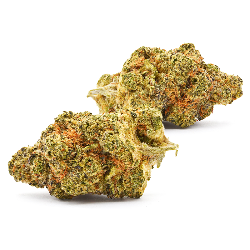 Zaza nugs