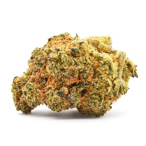 Lady Zaza Strain