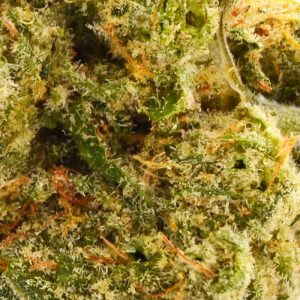 Slurricane Up Close