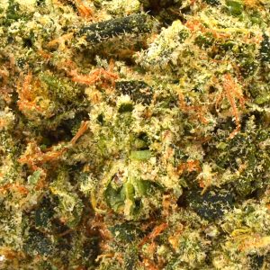 magic apple up close