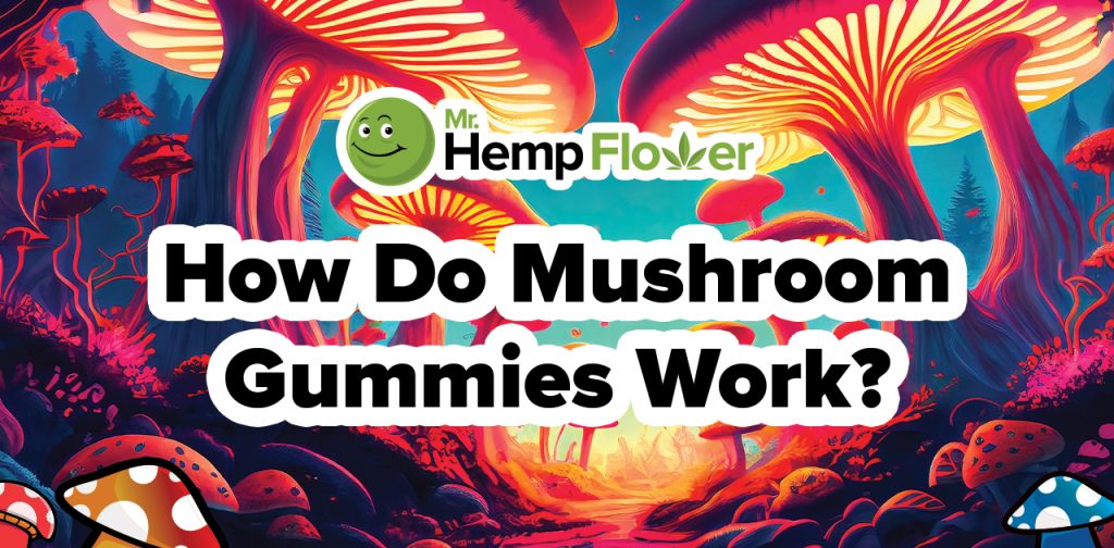 how do mushroom gummies work