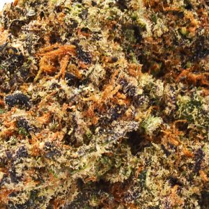 Gelato Runtz