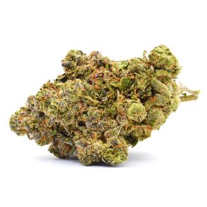 Banana Cream Strain