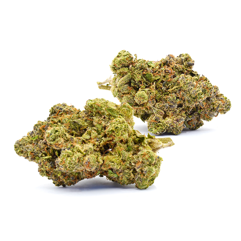 Banana Cream THCa flower buds close-up