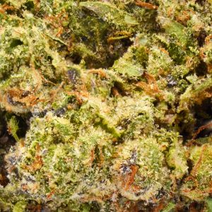 banana cream up close