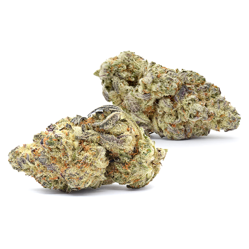 white devil nuggets