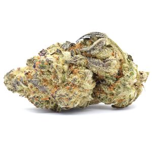 white devil strain