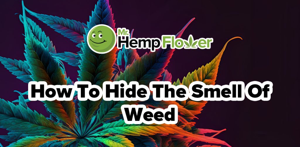 how to hide the smell of weed