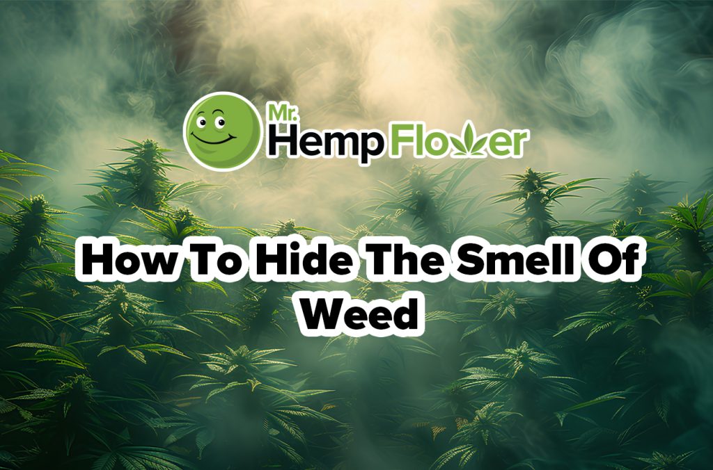 how to hide the smell of weed