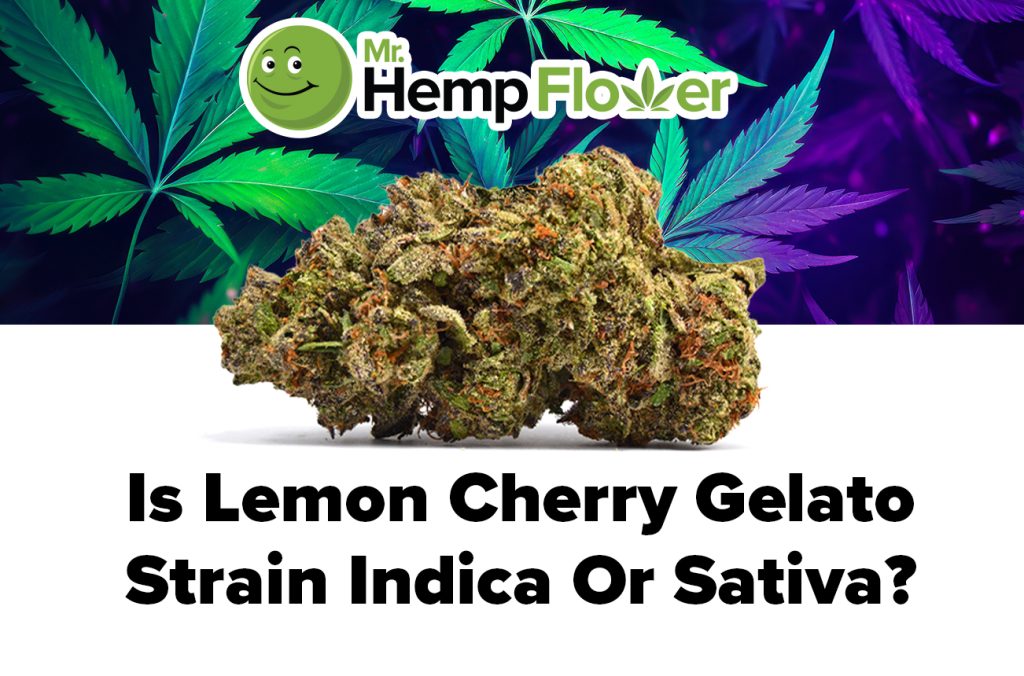 lcg strain indica or sativa