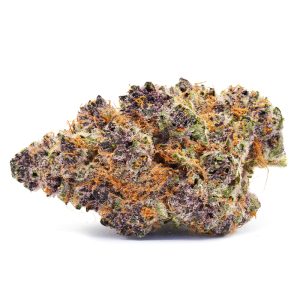 Tropical Cherry