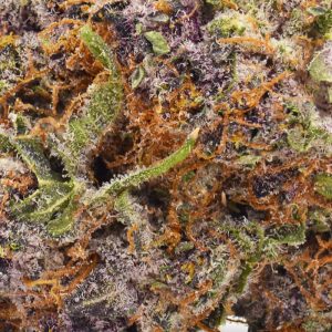 Up Close Tropical Cherry Strain