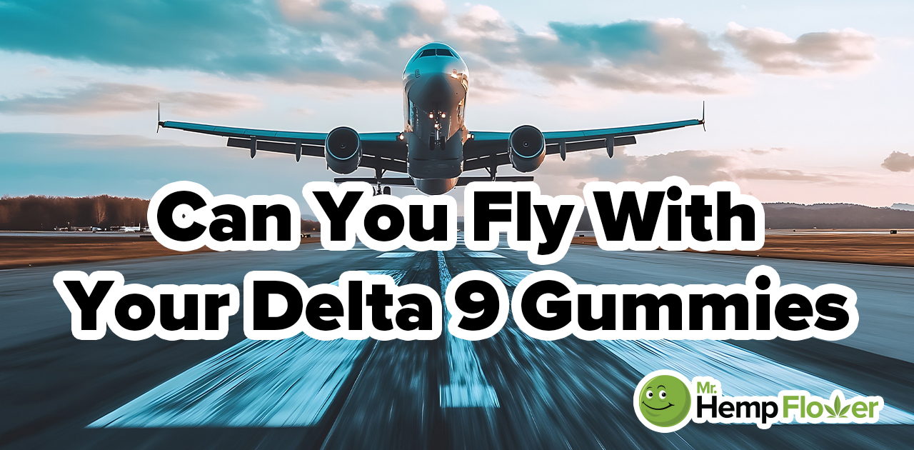 Can You Fly With Delta-9 Gummies? Everything You Need to Know