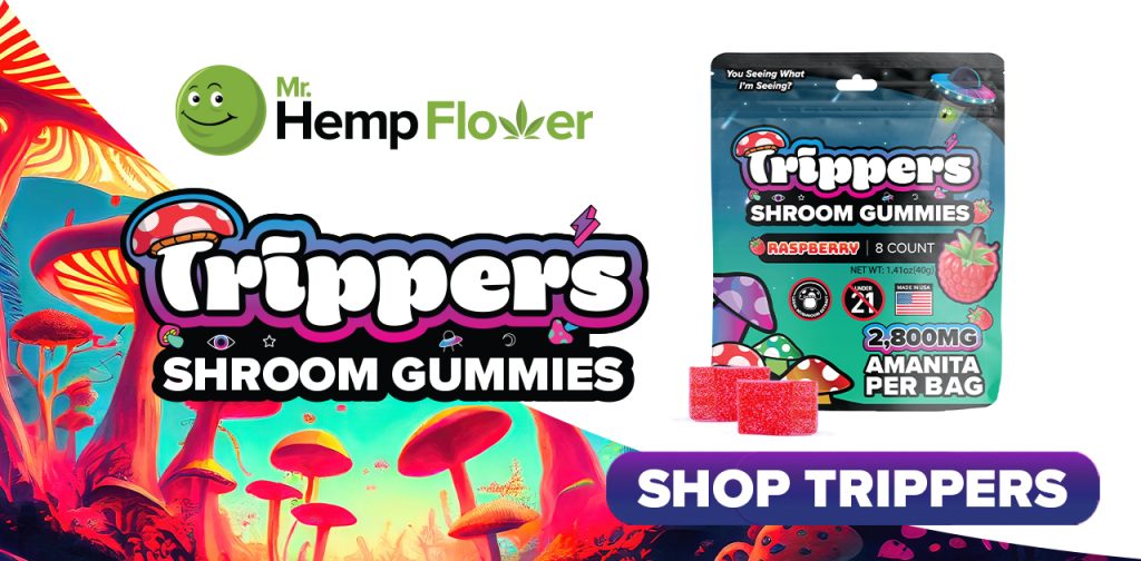 how long do mushroom gummies last