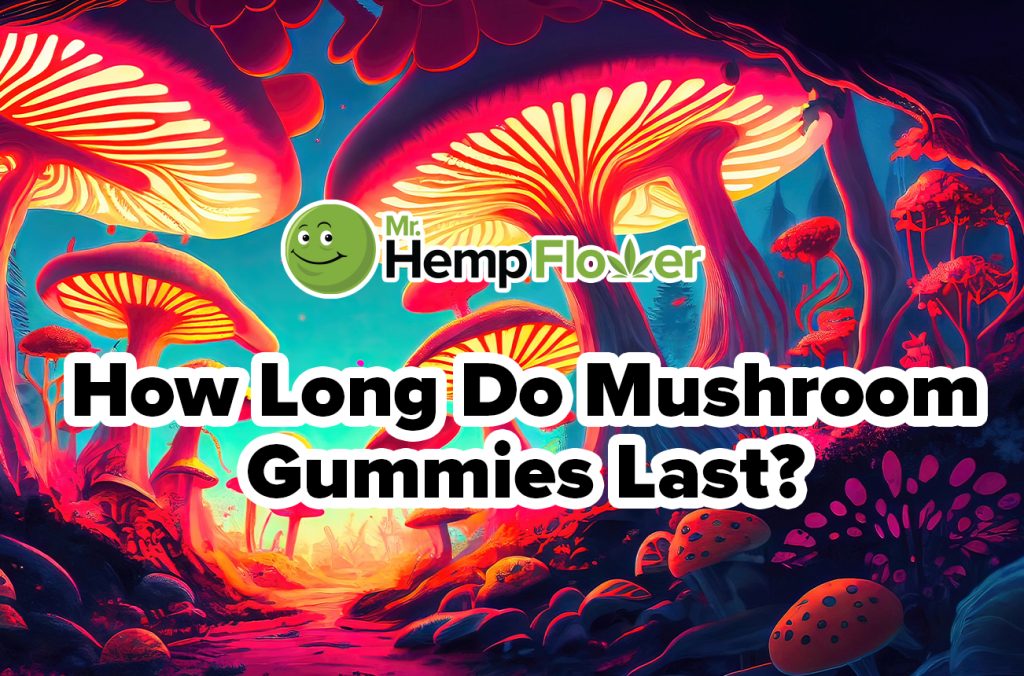 how long do mushroom gummies last