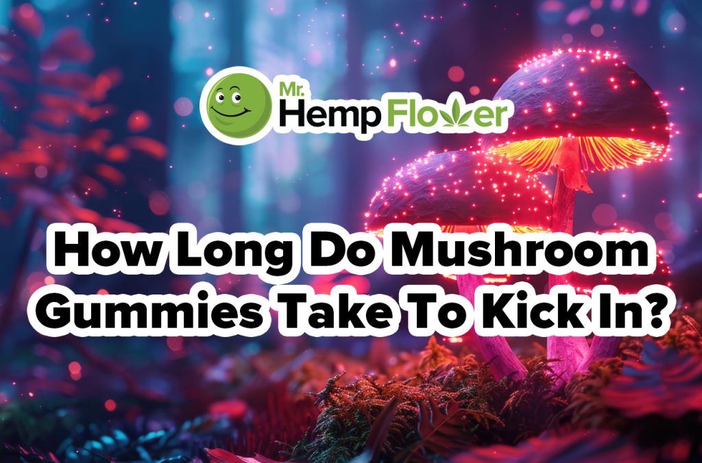 how long do shroom gummies take to kick in