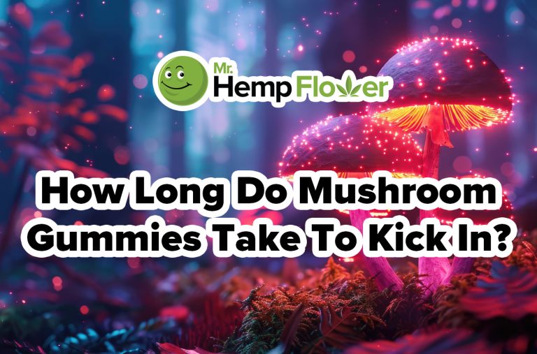 How Long Do Shroom Gummies Take to Kick In? What to Expect