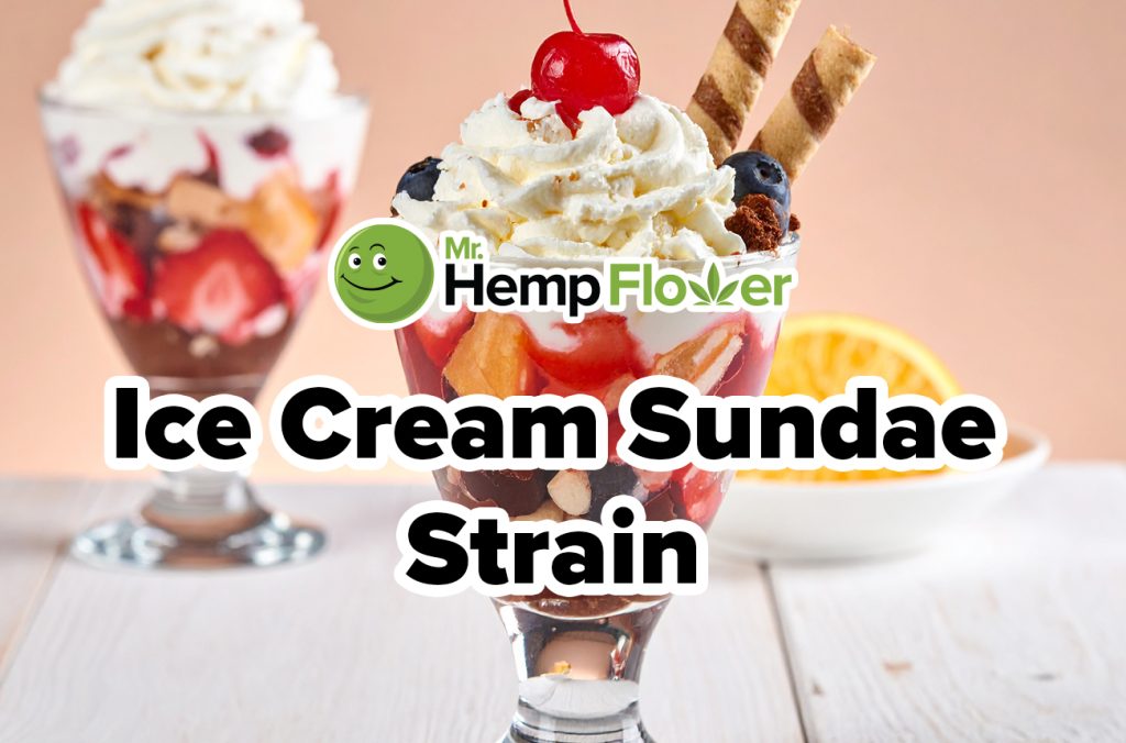 ice cream sundae strain